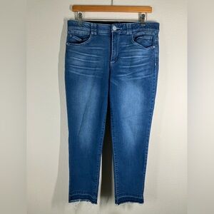 DEMOCRACY Ab Technology Ankle Fray Jeans Slim Straight Leg Boho Festival Blue 16